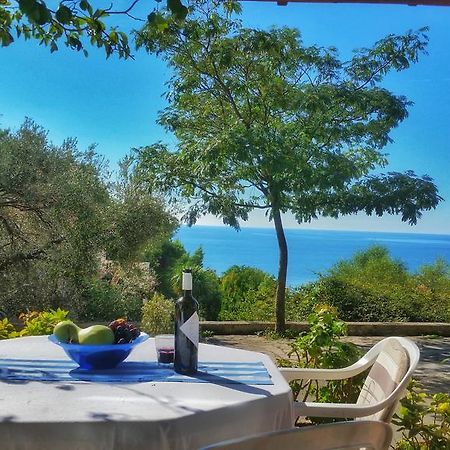 See View Apartment Budva Dış mekan fotoğraf