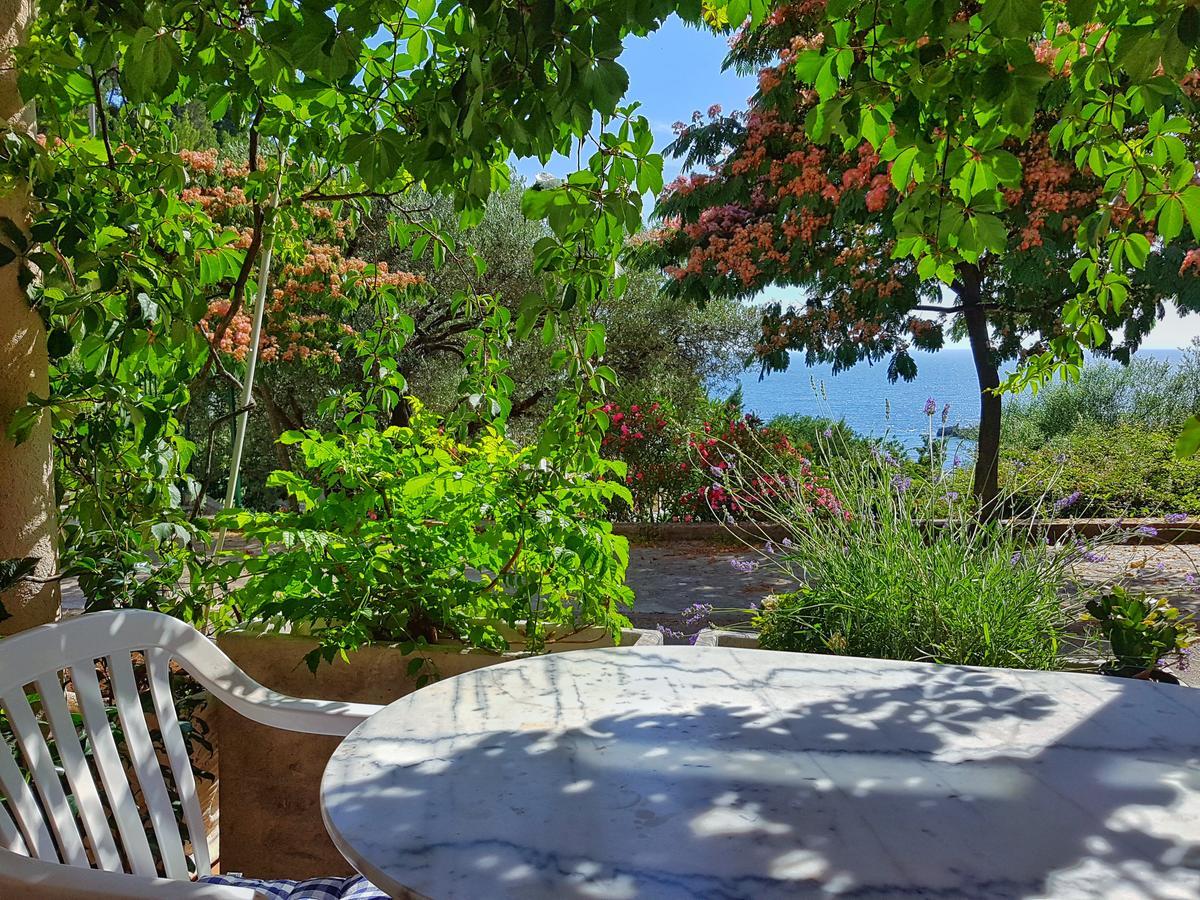 See View Apartment Budva Dış mekan fotoğraf